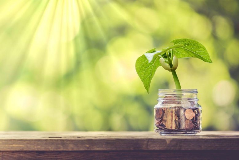 sprout in a money jar