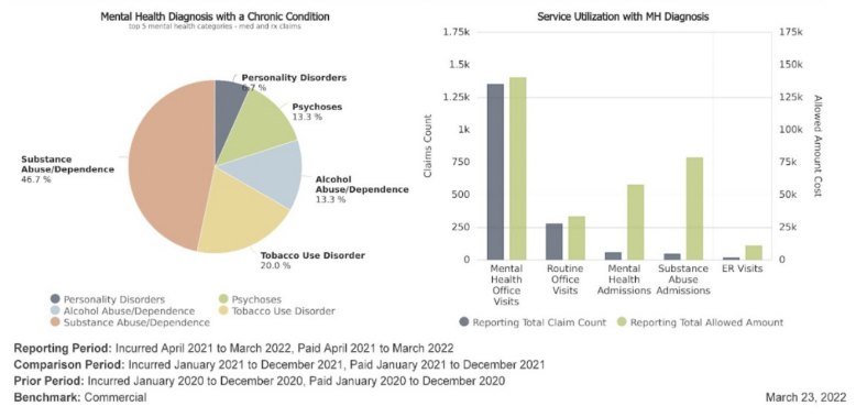 mental health diagnosis with a chronic condition graph