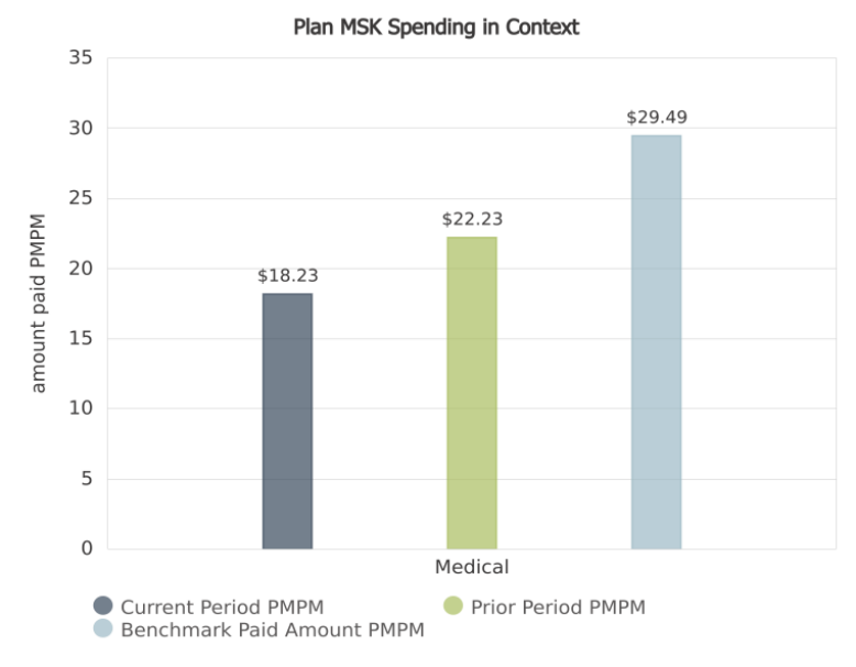 plan msk spending in context