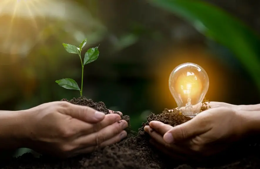 Hands holding a lightbulb and plant, symbolizing growth in employer health benefits